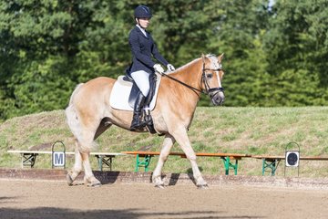 Bild 56 - Pony Akademie Turnier